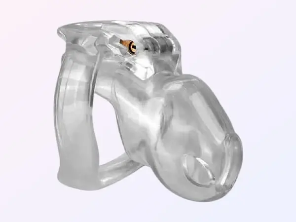 Holy Trainer V5